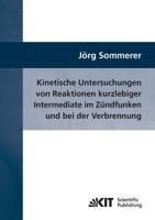 Kinetische Untersuchungen von Reaktionen kurzlebiger Intermediate im Zündfunken und bei der Verbrennung 3866447639 Book Cover