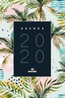 Agendador 2020 - Meu Calend�rio, Planner, Agenda e Diaria 2020 para minha organiza��o 0464308100 Book Cover