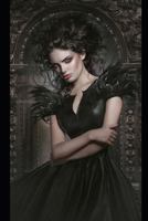 Salem's Secret: A collection of thrillers 1686214197 Book Cover