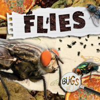Flies 1534537724 Book Cover