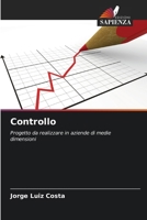 Controllo: Progetto da realizzare in aziende di medie dimensioni (Italian Edition) 6207579372 Book Cover
