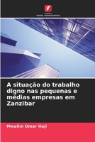 A situação do trabalho digno nas pequenas e médias empresas em Zanzibar (Portuguese Edition) 6208292824 Book Cover