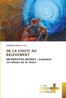 de la Chute Au Relevement (French Edition) 6209527930 Book Cover