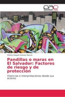 Pandillas o maras en El Salvador: Factores de riesgo y de protección 6202152478 Book Cover
