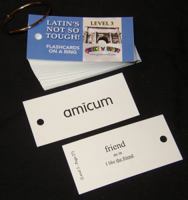 Latin's Not So Tough! Level 3 Flashcards B01A68JGS2 Book Cover