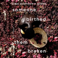 Someone Birthed Them Broken: Stories B0CHNM17YC Book Cover