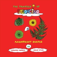 Magnificent shapes (The Travels of Palloncino) B0CR6WSPRZ Book Cover