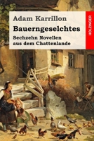 Bauerngeselchtes: Sechzehn Novellen aus dem Chattenlande 3743732890 Book Cover