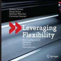 Leveraging Flexibility: Win the Race with Dynamic Decision Management 3642543618 Book Cover