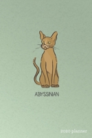 Abyssinian Planner 2020: Weekly + Monthly View Purebred Cat Breeds 6x9 in 2020 Calendar Organizer with Bonus Dotted Grid Pages + Inspirational Quotes + To-Do Lists 1697500889 Book Cover
