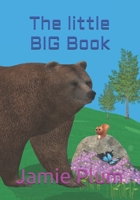 The little BIG Book B095LQF6YM Book Cover