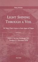 Light Shining Through a Veil 9042908459 Book Cover