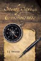 Steady Stream of Consciousness 1638441782 Book Cover