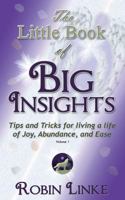 The Little Book of BIG Insights Volume I: Tips and Tricks for living a life of Joy, Abundance, and Ease 0984864210 Book Cover