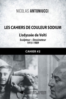 Les Cahiers de Couleur Sodium: Cahier 2: L'odyssée de Volti (French Edition) 2376923891 Book Cover