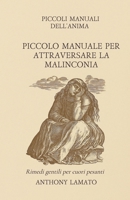 Piccolo Manuale per Attraversare la Malinconia: Rimedi gentili per cuori pesanti (Piccoli Manuali dell'Anima) (Italian Edition) B0F9WND73W Book Cover