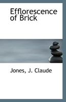 Efflorescence of Brick 1113344202 Book Cover