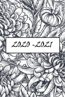 2020-2021 Two Year Planner, with yearly, monthly and weekly views + 25lined pages 1655278061 Book Cover