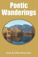 Poetic Wanderings (Playing With Words) B0CSB8CD2S Book Cover