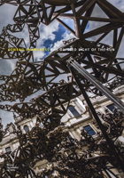 The Dappled Light of the Sun Conrad Shawcross 1910350362 Book Cover