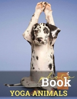 Yoga Animals Photo Book: 40 Inspiring Images Of Pets And Wildlife In Yoga Poses For Mindfulness B0DPSCGJJD Book Cover