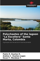 Polychaetes of the lagoon "La Escollera" Santa Marta, Colombia 6630010965 Book Cover