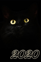 Yearly Calendar "Cat's-Eye" for 2020: Jahreskalender, ann�e civile, a�o calendario, anni di calendario, jarenkalender in english, german, french, spanish, italian, dutsch 167386919X Book Cover
