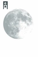 Ugly Love (Notes From The Negro Side Of The Moon) 1936196794 Book Cover