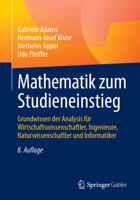 Mathematik zum Studieneinstieg: Grundwissen der Analysis für Wirtschaftswissenschaftler, Ingenieure, Naturwissenschaftler und Informatiker (German Edition) 366270028X Book Cover