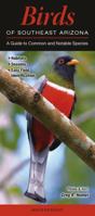 Birds of Southeast Arizona: A Guide to Common & Notable Species 1936913062 Book Cover