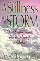 A Stillness in the Storm 1565072871 Book Cover