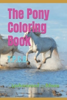 The Pony Coloring Book: T.P.C.B. B0BBXTPK9T Book Cover