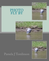 Photo Fly By 1515233960 Book Cover