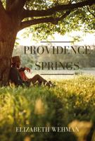 Providence Springs (The Newburg Chronicles) 1737753960 Book Cover