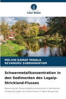Schwermetallkonzentration in den Sedimenten des Lagaip-Strickland-Flusses (German Edition) 6200745544 Book Cover