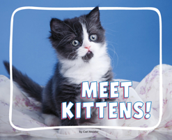 Meet Kittens! (Adorable Baby Animals) B0GHPV259B Book Cover
