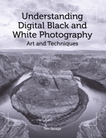 Understanding Digital Black and White Photography: Art and Techniques 1785001973 Book Cover