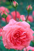 Rose Journal 1695471075 Book Cover