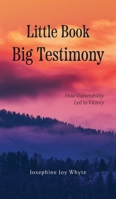 Little Book, Big Testimony: How Vulnerability led to Victory B0CKY817QJ Book Cover