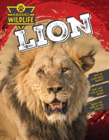 Lion (Remarkable Wildlife) 1761402609 Book Cover