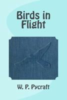 Birds in Flight 9355111061 Book Cover