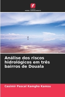 Análise dos riscos hidrológicos em três bairros de Douala 6206198138 Book Cover