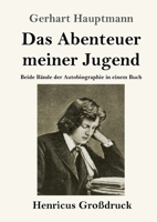 Das Abenteuer meiner Jugend (Großdruck) (German Edition) 3847840223 Book Cover