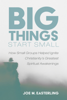 Big Things Start Small: How Small Groups Helped Ignite Christianity's Greatest Spiritual Awakenings 166671285X Book Cover