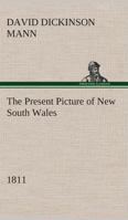 The Present Picture of New South Wales 143752236X Book Cover