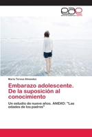 Embarazo Adolescente. de La Suposicion Al Conocimiento 3659053384 Book Cover