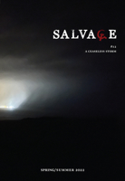 Salvage #12: A Ceaseless Storm 1804291706 Book Cover