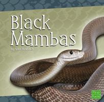 Black Mambas (First Facts) 1429622717 Book Cover