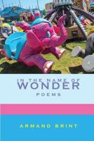 In the Name of Wonder 0962630888 Book Cover