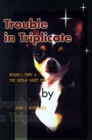 Trouble in Triplicate: Books 1 thru 3, The Sheila Casey Mysteries 0595097669 Book Cover